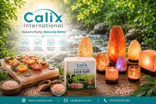 Calix International